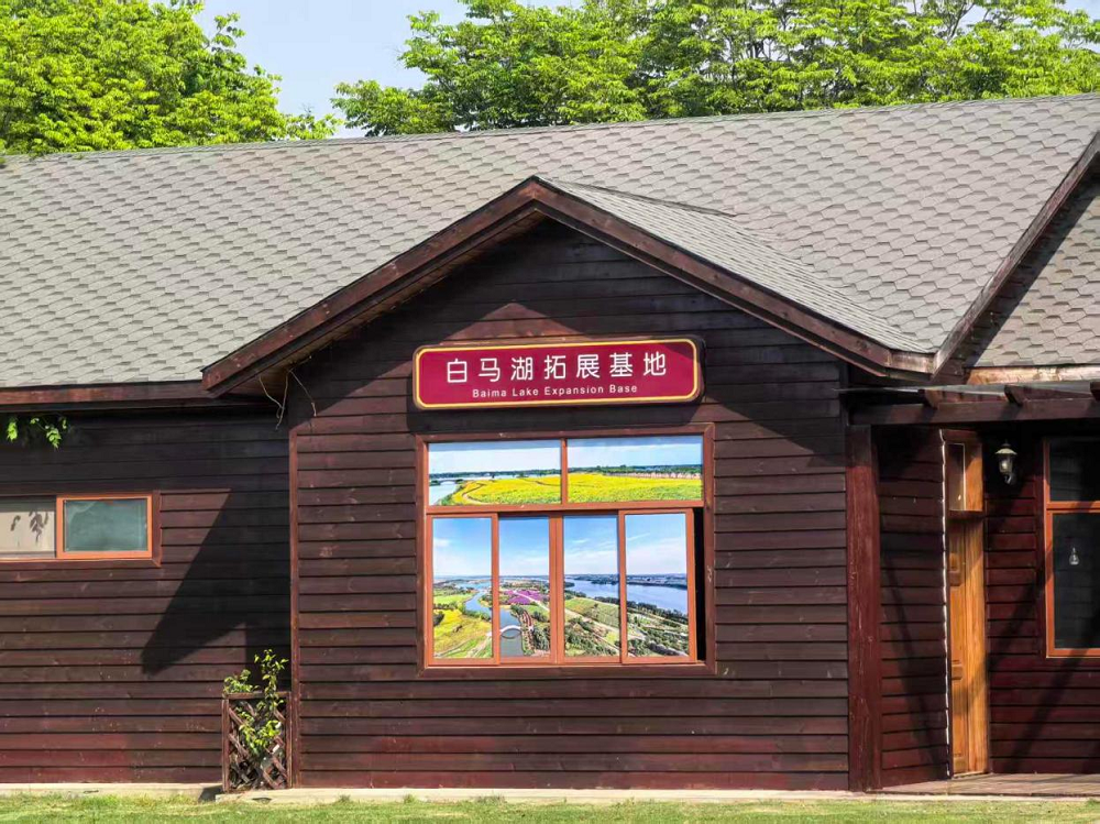 图片10.png